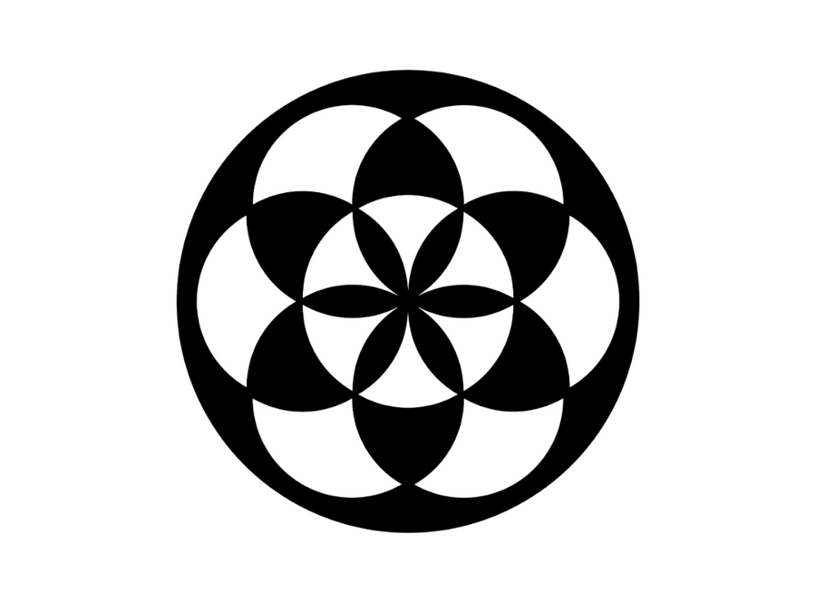 通往撒马尔罕的黄金之路Charabanc