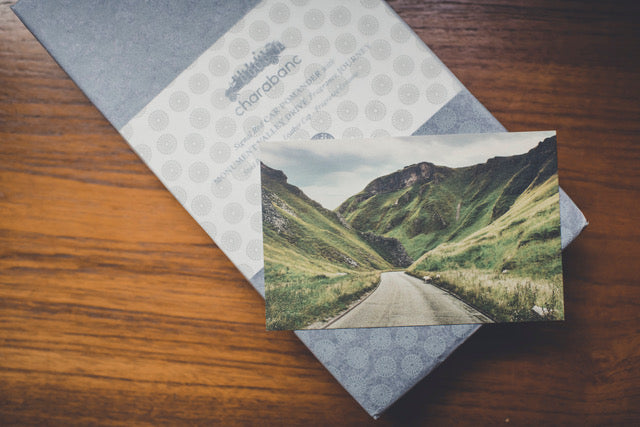 Gift Wrap - Charabanc